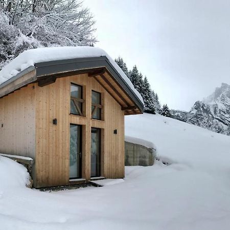 Sixt Chalet*** Au Pied D'Une Prairie Face A La Montagne מראה חיצוני תמונה