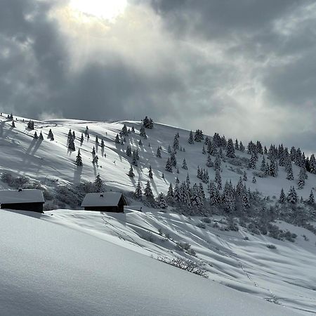 Sixt Chalet*** Au Pied D'Une Prairie Face A La Montagne מראה חיצוני תמונה