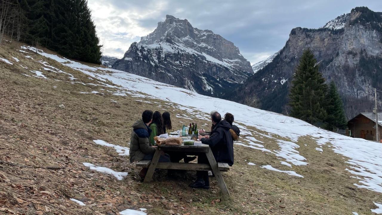 Sixt Chalet*** Au Pied D'Une Prairie Face A La Montagne מראה חיצוני תמונה