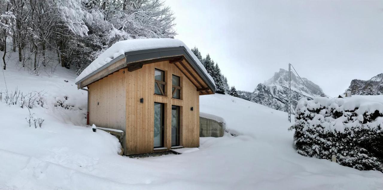 Sixt Chalet*** Au Pied D'Une Prairie Face A La Montagne מראה חיצוני תמונה