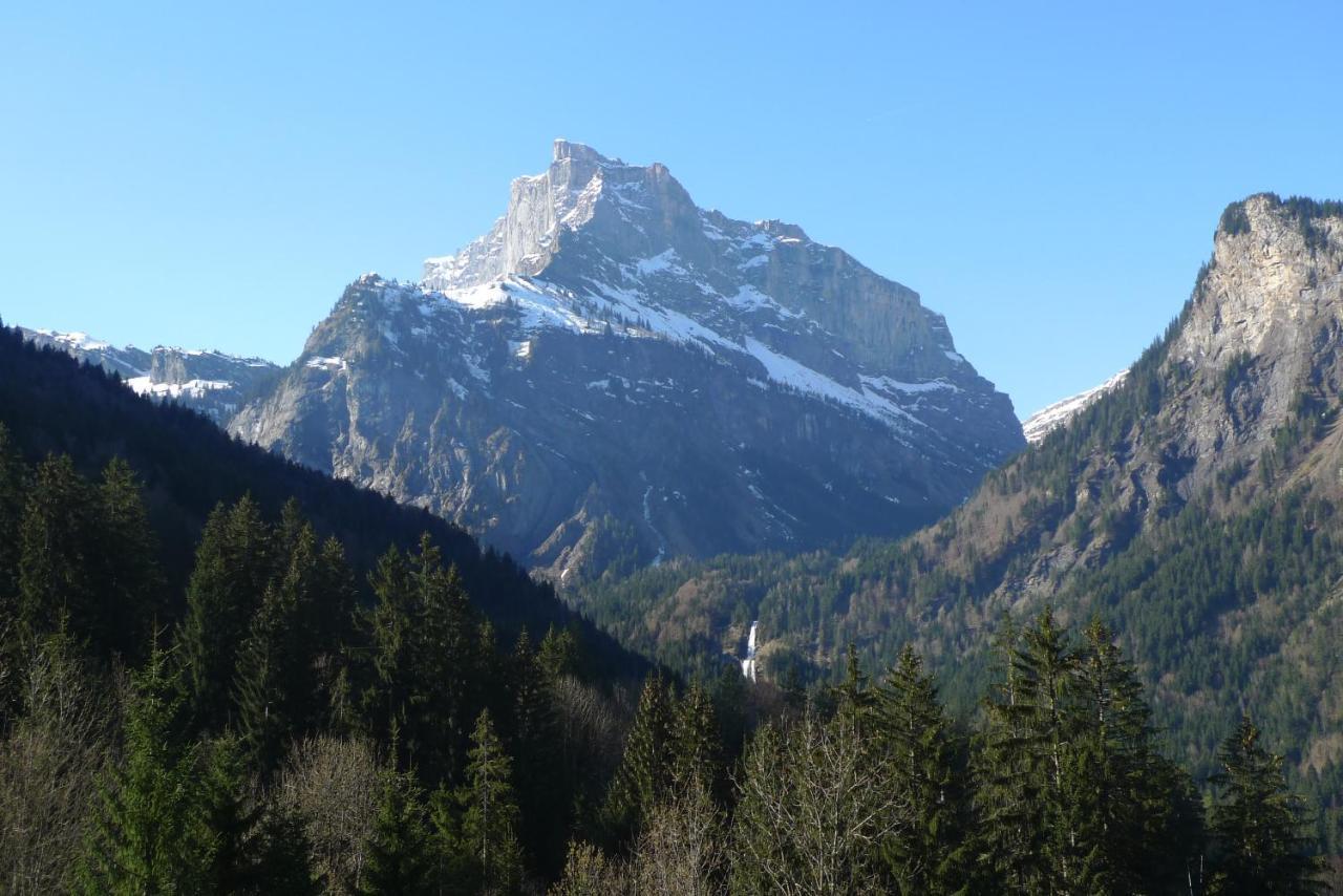 Sixt Chalet*** Au Pied D'Une Prairie Face A La Montagne מראה חיצוני תמונה