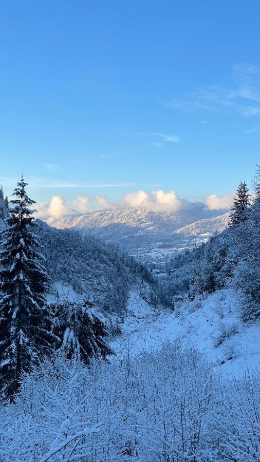 Sixt Chalet*** Au Pied D'Une Prairie Face A La Montagne מראה חיצוני תמונה