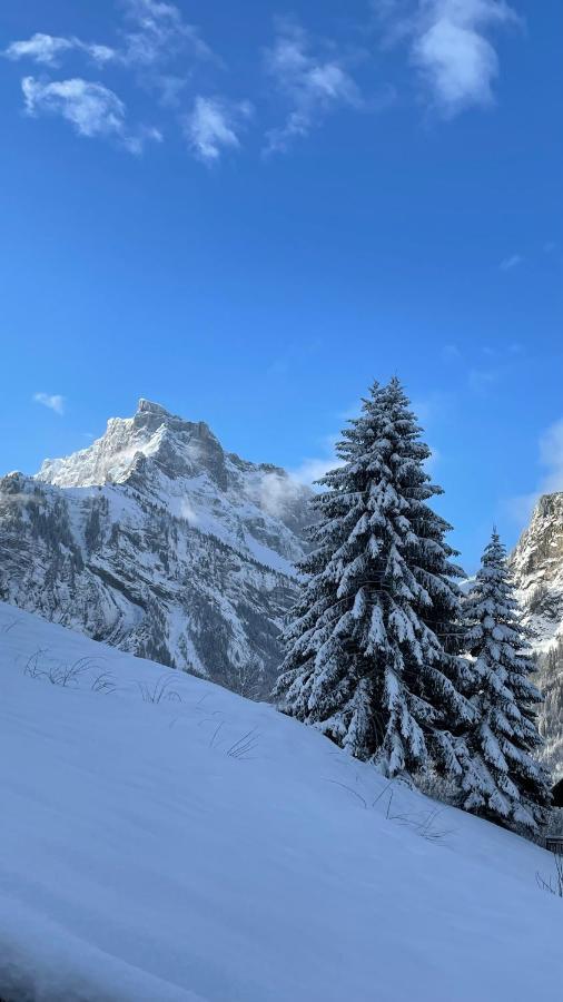 Sixt Chalet*** Au Pied D'Une Prairie Face A La Montagne מראה חיצוני תמונה