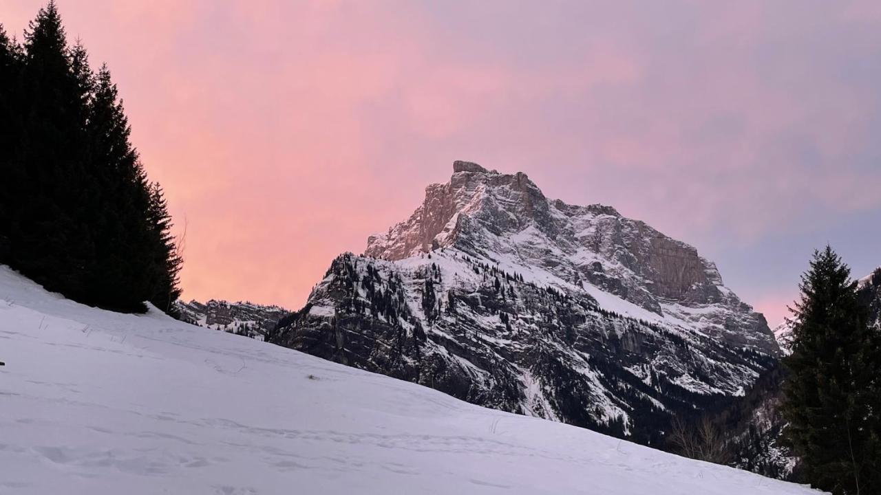 Sixt Chalet*** Au Pied D'Une Prairie Face A La Montagne מראה חיצוני תמונה