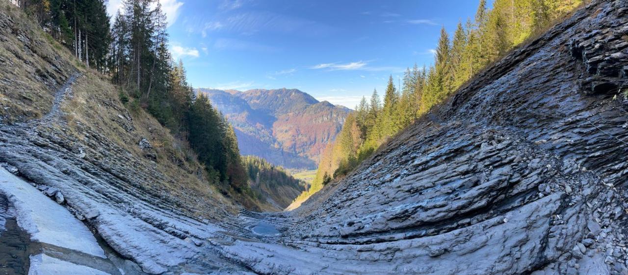 Sixt Chalet*** Au Pied D'Une Prairie Face A La Montagne מראה חיצוני תמונה