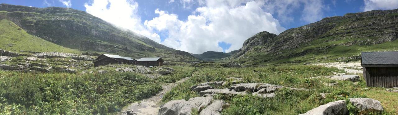 Sixt Chalet*** Au Pied D'Une Prairie Face A La Montagne מראה חיצוני תמונה
