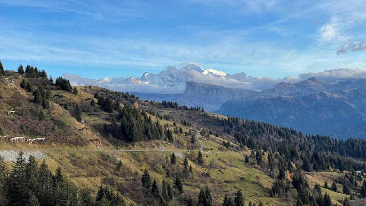 Sixt Chalet*** Au Pied D'Une Prairie Face A La Montagne מראה חיצוני תמונה