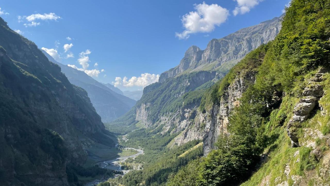 Sixt Chalet*** Au Pied D'Une Prairie Face A La Montagne מראה חיצוני תמונה